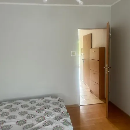 Polne Kwiaty * Olsztyn (Warmian-Masurian)